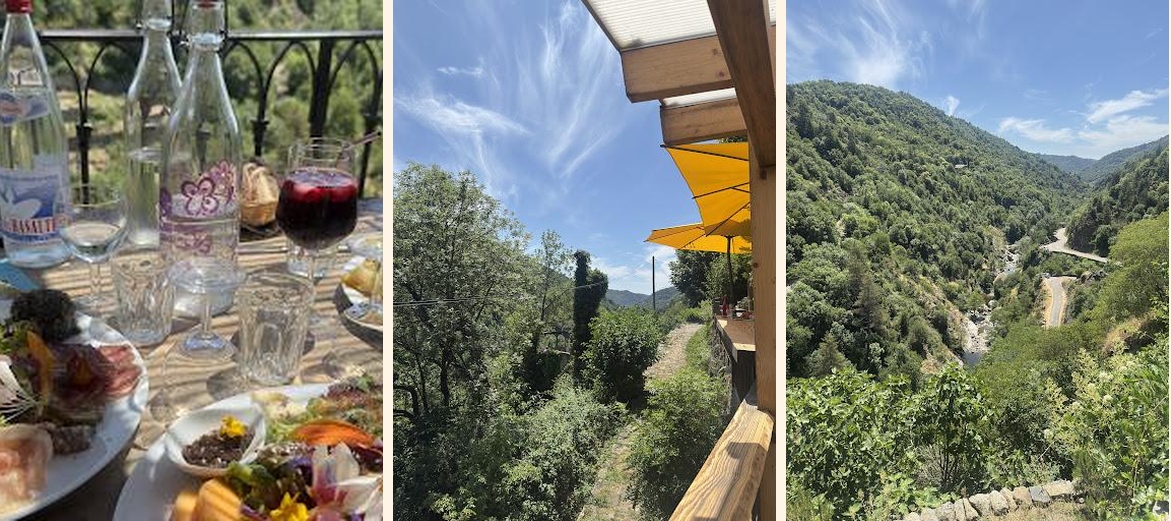 Le Cafe Des Serres - Gallery Image 4